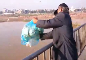 بسته خبری + فیلم و عکس