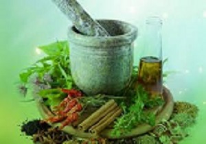 تولید 200 گونه گیاه دارویی در قزوین