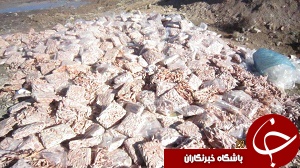کشف 56 تن پای مرغ تاریخ مصرف گذشته