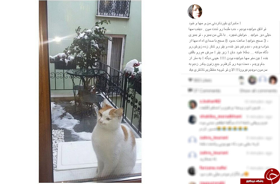 بسته  اینستاگردی