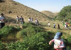 پاکسازی طبیعت قائن