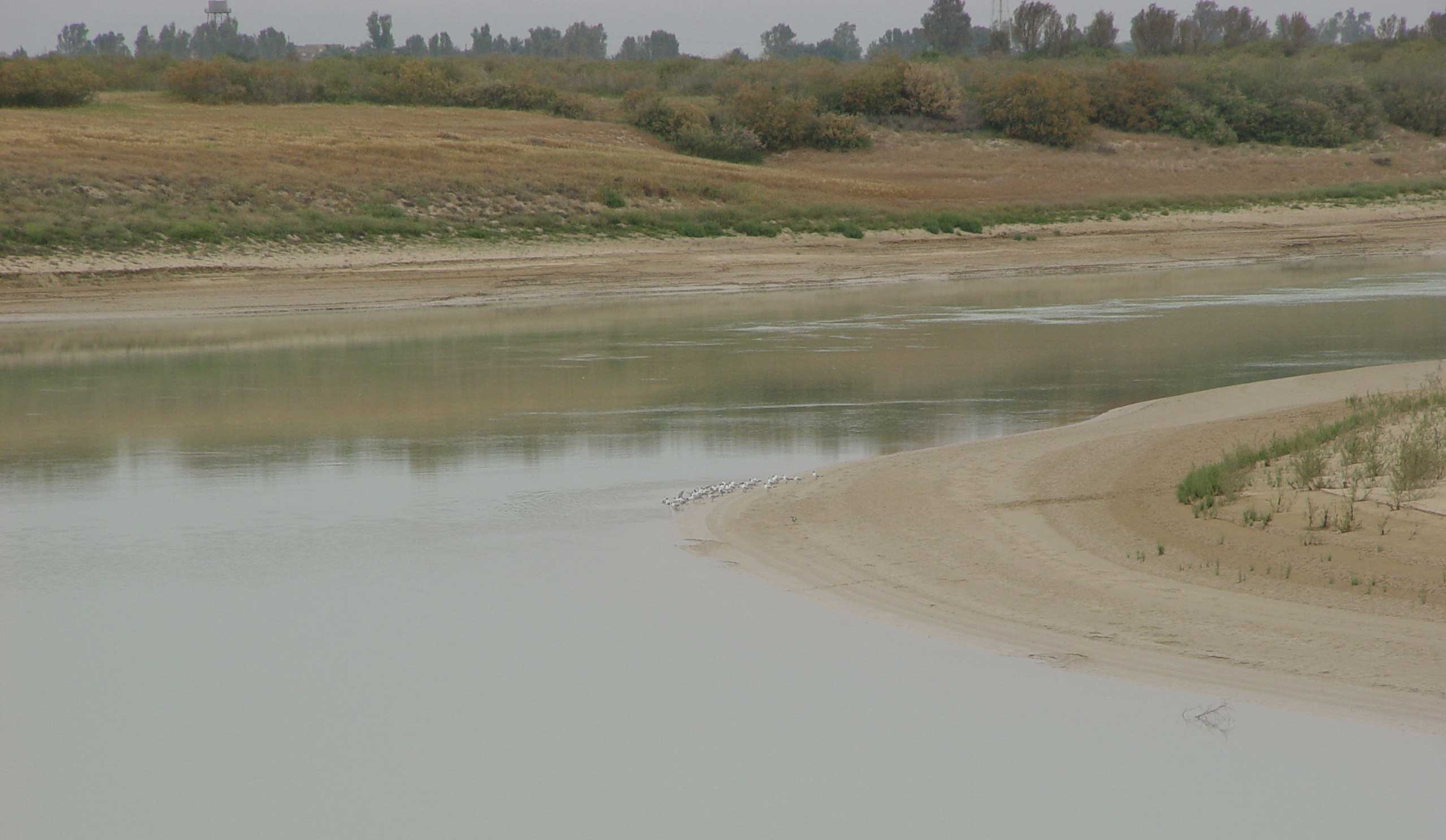 رودخانه زهره جان گرفت