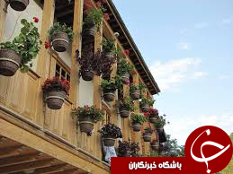 عکس هایی که بوی زندگی می&zwnj;دهد( قسمت هفدهم)