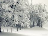 بارش  یک متری برف  در سپیدان نیروهای امدادی را غافلگیر کرد