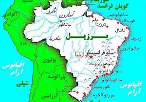 افزایش تولد نوزادان با آسیب مغزی در برزیل