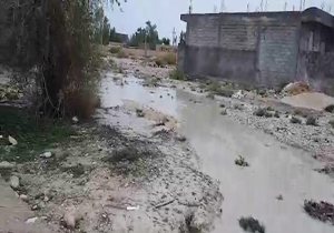 سیل در میان خانه‌ها + فیلم