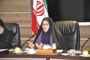 برگزاری اولین جلسه کمیته بانوان دهه فجر آذربایجان غربی