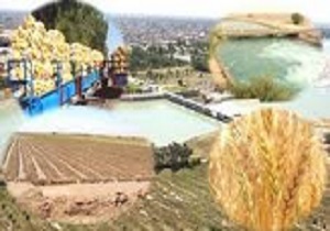 تسهیلات پرداختی به کشاورزان باید در بخش کشاورزی استفاده شود