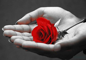 بدون منت، گذشت کنید