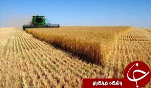 تحویل موقت 94 هزار هکتار از اراضی مقام معظم رهبری در خوزستان