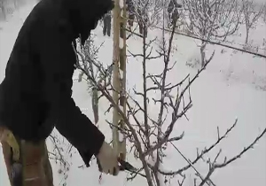 سختی کاری که برای کار سخت حساب نمی‌شود + فیلم