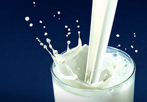 داشتن خوابی آرام با نوشیدن شیر گاو شب دوشیده