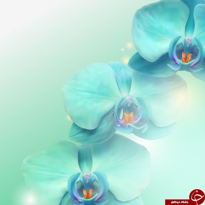 تصاویر حیرت آور از طبیعت