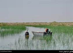 تالاب بین المللی خور باهو و خلیج گواتر مکانی مناسب برای زیست جانوران آبزی