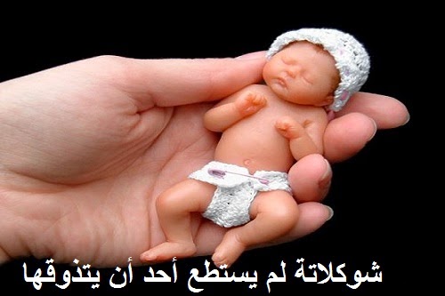 شکلاتی که کسی قادر به خوردن آن نیست!+ تصاویر