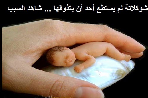 شکلاتی که کسی قادر به خوردن آن نیست!+ تصاویر