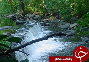 آزادسازی حریم رودخانه پاشا روگا در بندرانزلی