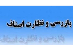 بازرسی از 800 واحد صنفی در همدان