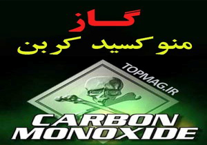 مشخص شدن علت مرگ معلم چرامی و همراهش+فیلم