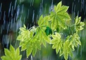 رشد 45درصدی بارش از ابتداي سال آبي جاري