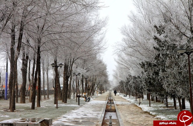 درختان یخ زده در شهرکرد + عکس