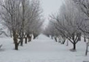 اغاز بارش برف و باران از امروز در لرستان