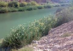 کانال های رسوبات رودخانه بهمنشیر خوراک مهم صنایع کشور