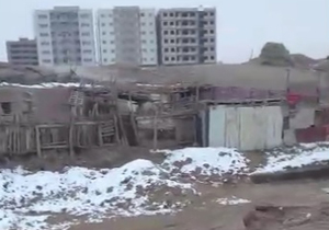 بوی نامطبوع دام در مجاورت منازل مسکونی + فیلم
