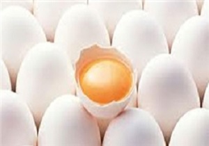 افزایش قیمت تخم‌مرغ در اردبیل