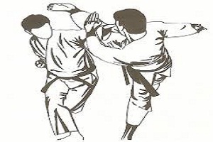 جام یادواره هشت هزار شهید والا مقام  و راهیابی نفرات برتر به انتخابی تیم ملی کاراته