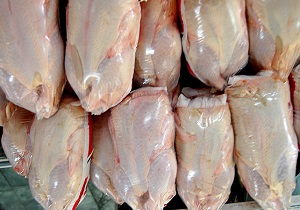 سرطان بدخیم در صنعت مرغ/ سایه بی حمایتی بر سر مرغداران