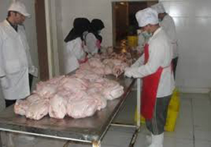 کشف  کارگاه غیرمجاز بسته بندی  مرغ در اهواز