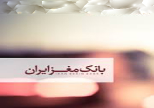 اولین بانک مغز در کشور راه اندازی شد اولین بانک مغز در کشور راه اندازی شد