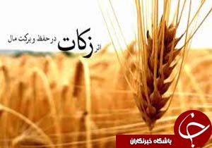 رفسنجان، رتبه دار جمع آوری زکات مستحبی