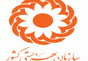حیدری: رشد 10.2 درصدی بودجه بهزیستی در سال 95