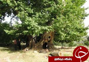 جاذبه های طبیعی ثبت ملی شد