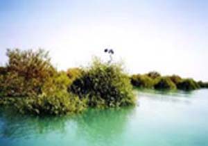 برگزاری کارگاه آشنایی با تالاب های هرمزگان در روز جهانی تالاب