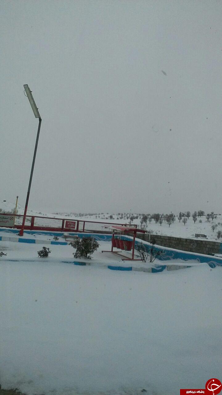 صبح برفی بانه + عکس