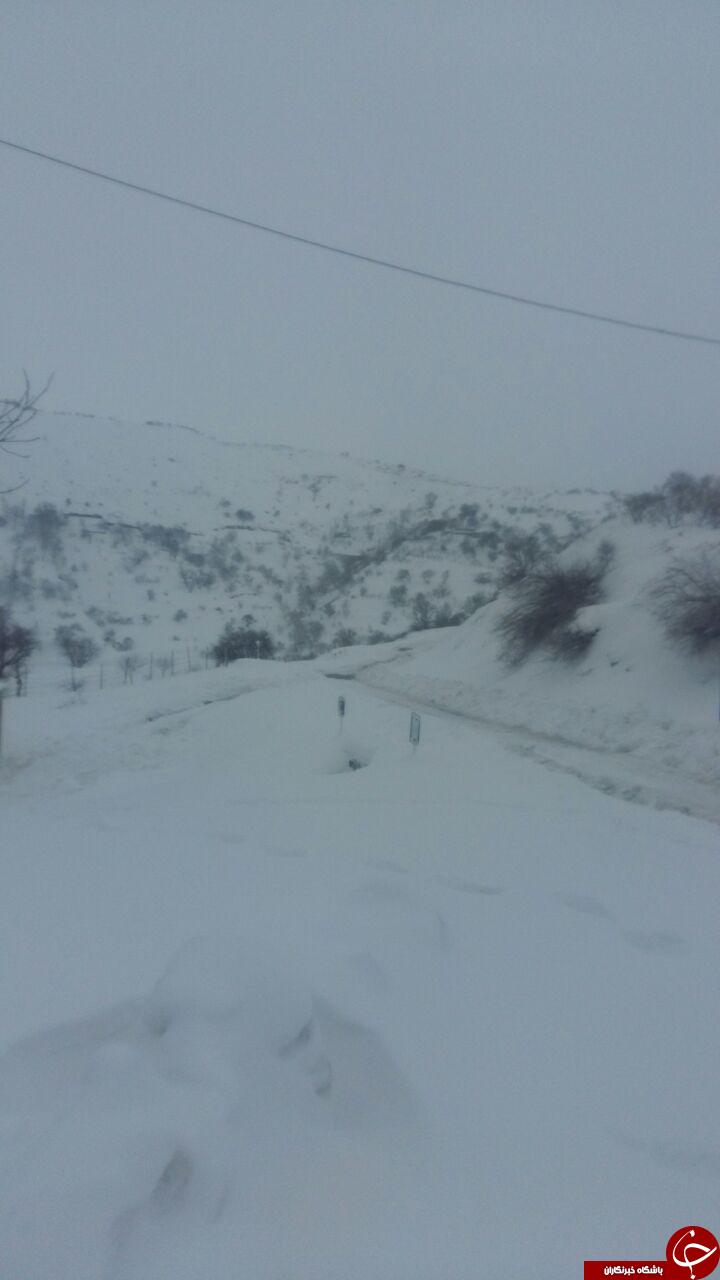 صبح برفی بانه + عکس