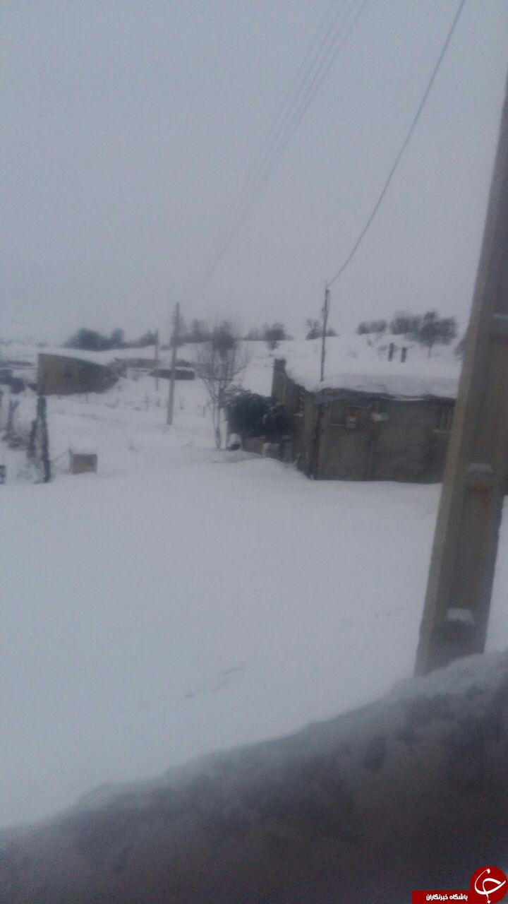 صبح برفی بانه + عکس