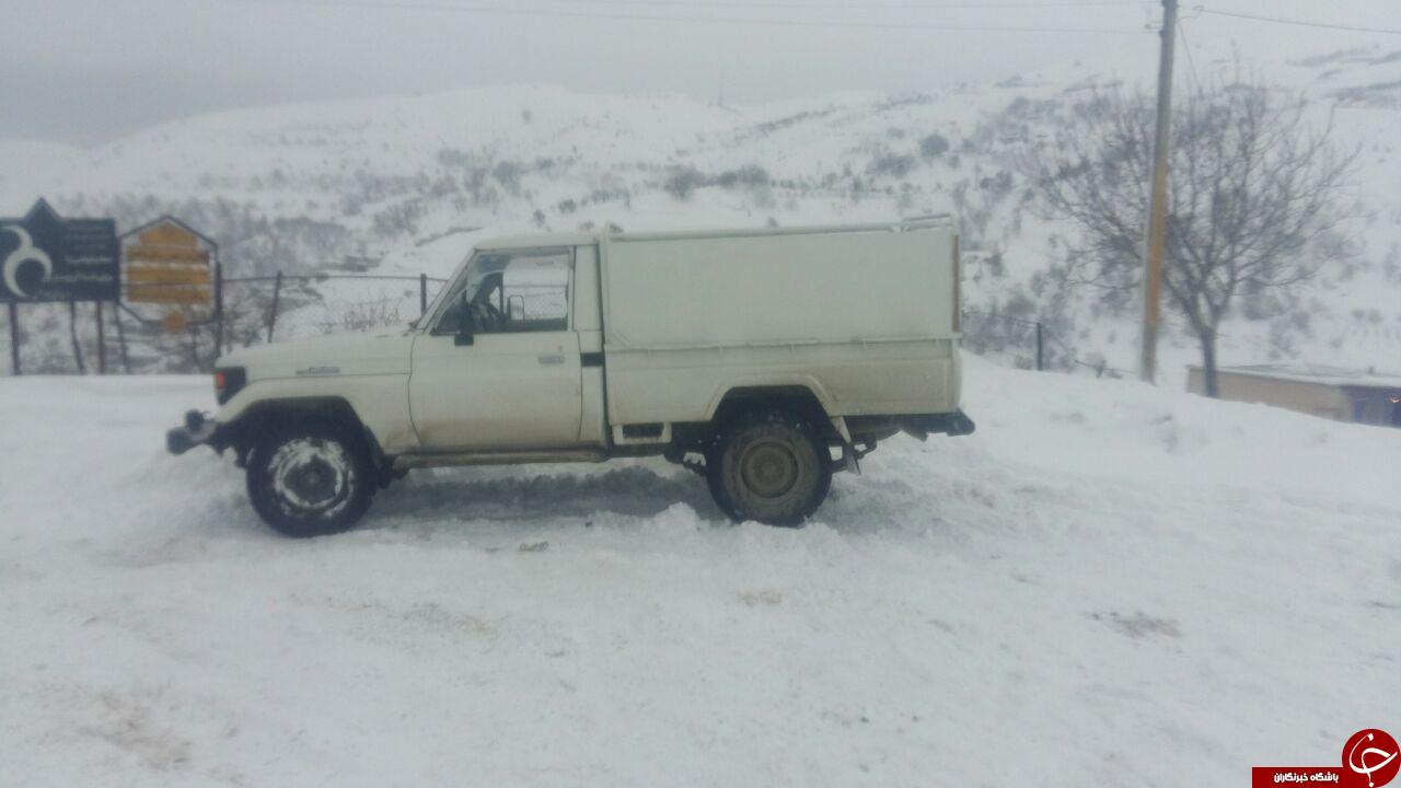 صبح برفی بانه + عکس