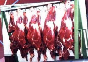 نشست آموزشی برای صاحبان قصابی