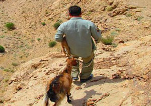 دستگیری 4 شکارچی متخلف در بجستان