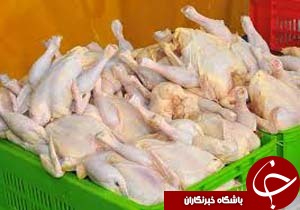 تولیدسالانه 44 هزارتن گوشت مرغ در کرمان