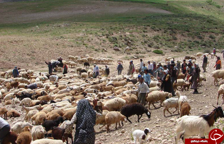 عکس هایی که بوی زندگی می&zwnj;دهند(قسمت بیست و دوم)