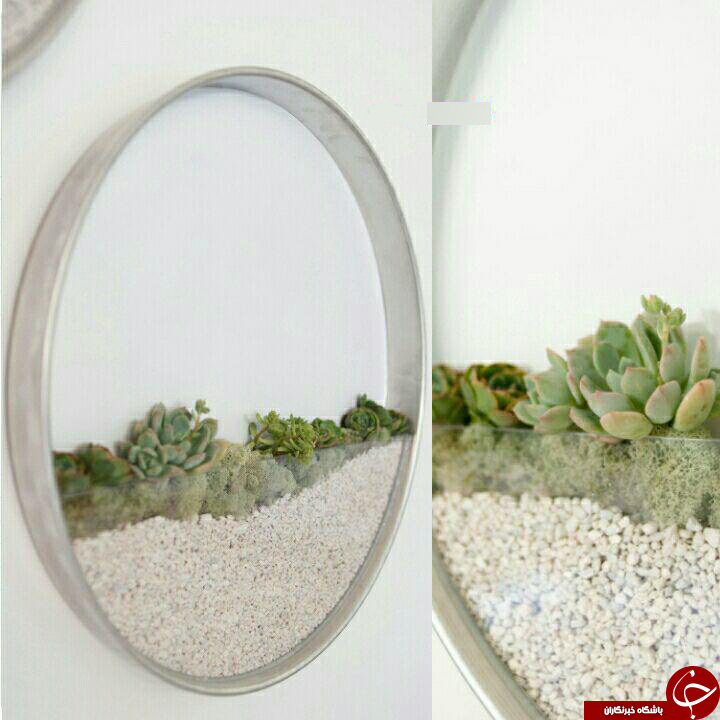 گلخانه هایی که به دیوارآویزان می شوند+تصاویر