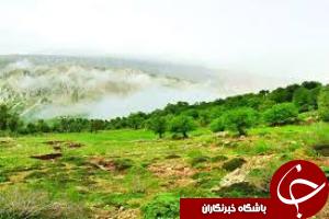 بازپس گیری مناطق حفاظت شده از زمین خواران