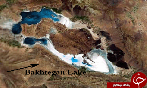 بخت شور بختگان!