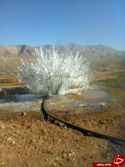 بسته + تصاویر