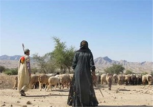 برگزاری طرح تسهیل‌گری زنان عشایری استان اردبیل